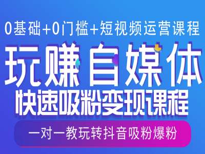 0基础+0门槛+短视频运营课程，玩赚自媒体快速吸粉变现课程，一对一教玩转抖音吸粉爆粉 -1